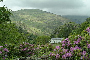 snowdonia hotel beddgelert